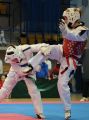 II Oglnopolska Eliminacja do Mistrzostw Polski Juniorw i Modzieowcw w Taekwondo Olimpijskim.
